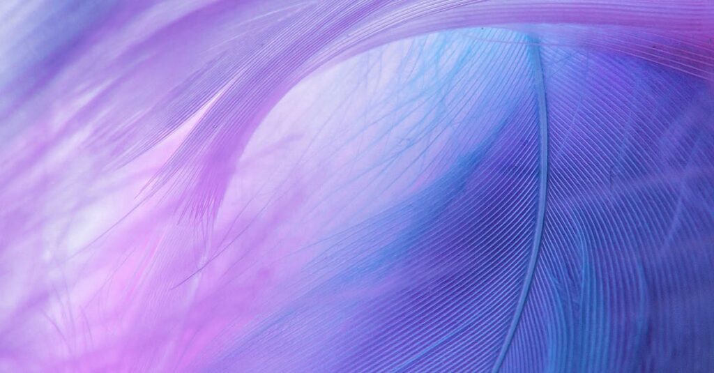 A soft, colorful abstract composition with dreamy pastel hues featuring blue and purple feather textures.